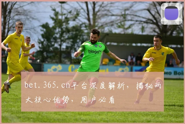bet.365.cn平台深度解析，揭秘两大核心优势，用户必看
